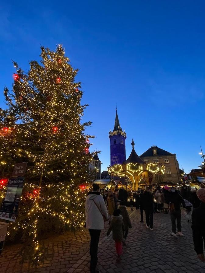 Apartmán La Colonne Obernai Exteriér fotografie