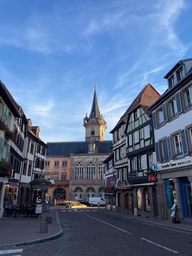 Apartmán La Colonne Obernai Exteriér fotografie