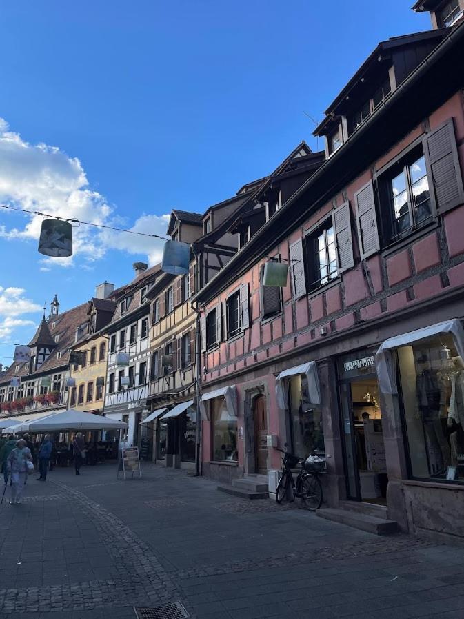 Apartmán La Colonne Obernai Exteriér fotografie
