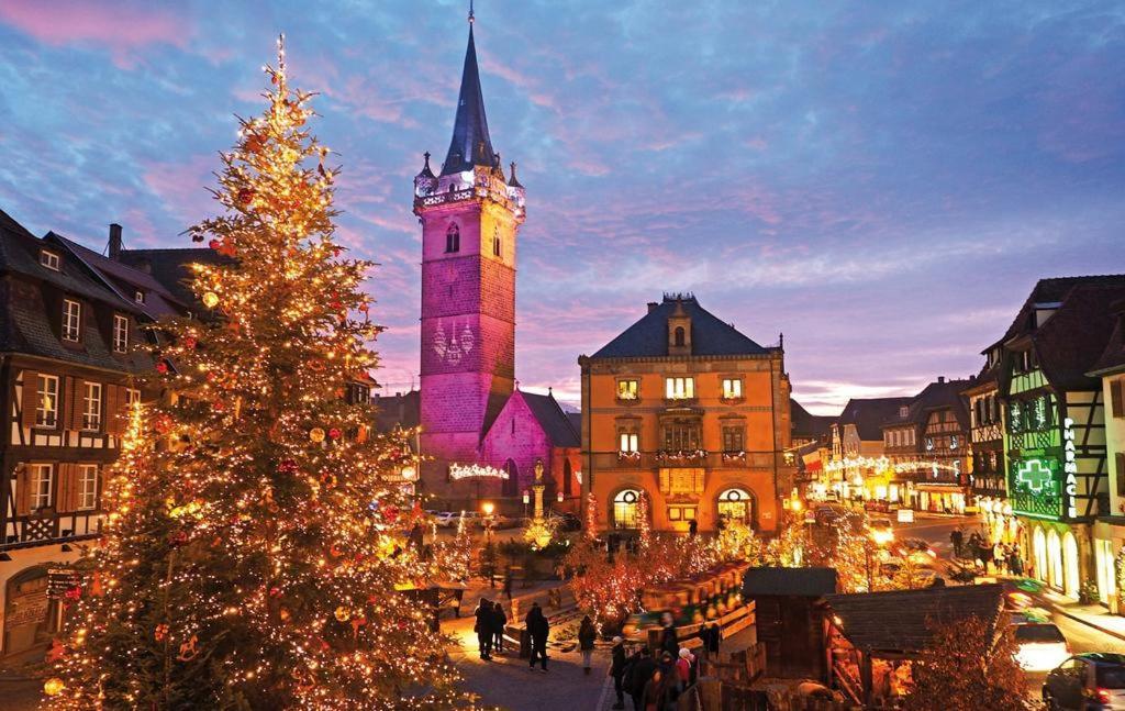 Apartmán La Colonne Obernai Exteriér fotografie