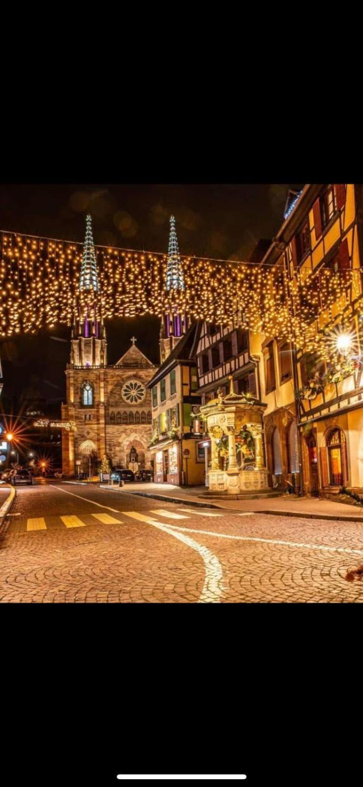 Apartmán La Colonne Obernai Exteriér fotografie