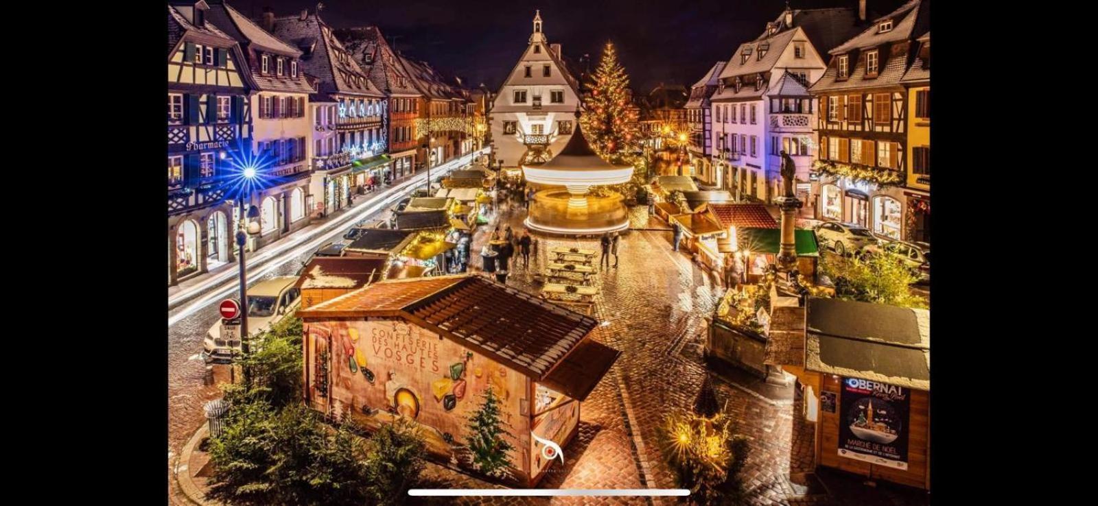 Apartmán La Colonne Obernai Exteriér fotografie