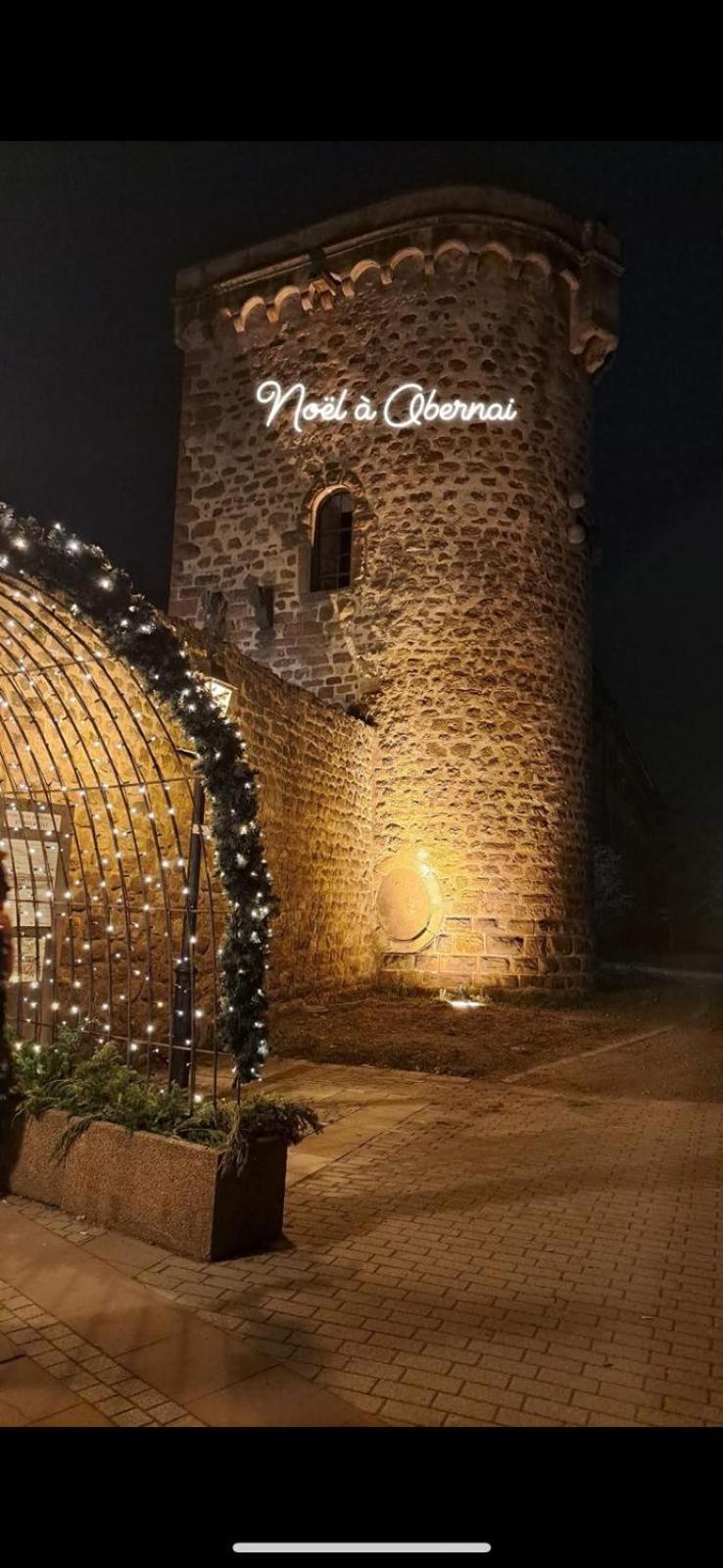 Apartmán La Colonne Obernai Exteriér fotografie